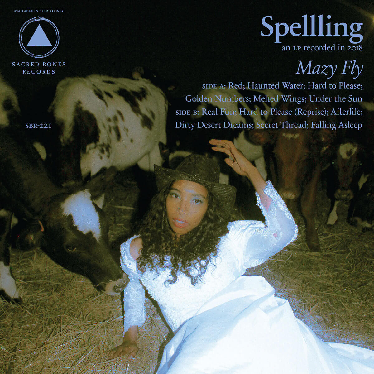 Mazy Fly - 12" Translucent Blue Vinyl