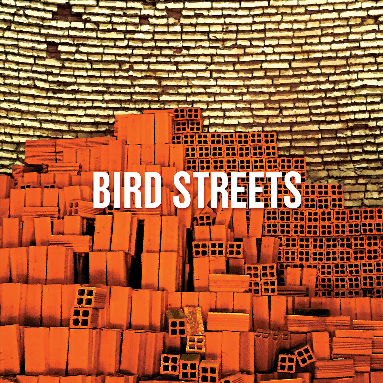 Bird Streets